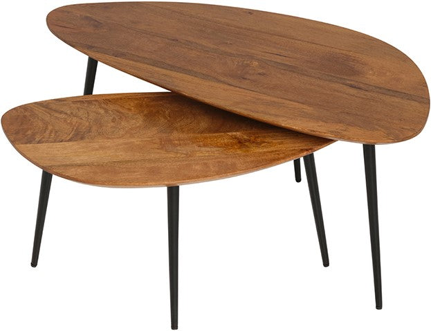 Salontafel - set van 2, organisch, Ginger